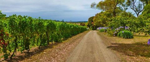 Merricks Estate - Accommodation Port Macquarie 1
