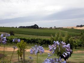 Mount Jagged Wines - Accommodation Port Macquarie 1