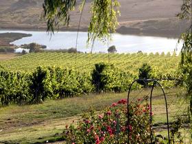 Mount Jagged Wines - Accommodation Port Macquarie 2