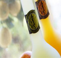 Ambra Limoncello - Accommodation Port Macquarie