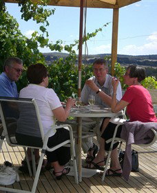 Zig Zag Rd Winery - Accommodation Port Macquarie 2