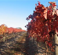 Kooyonga Creek Wines - Accommodation Port Macquarie