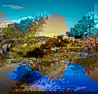 Loira Vines - Accommodation Port Macquarie