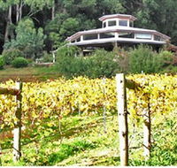Peveril Vineyard/Beechy Berries - Accommodation Port Macquarie