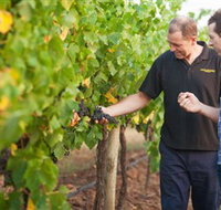 Fratin Brothers Vineyard - Accommodation Port Macquarie