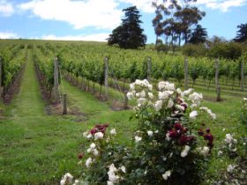 Prairie ACT Accommodation Port Macquarie