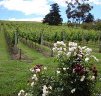 Pembroke Estate Vineyard - Accommodation Port Macquarie