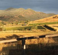 Optimiste Wines - Accommodation Port Macquarie