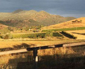 Optimiste Wines - Accommodation Port Macquarie 0