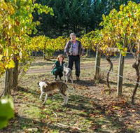 Little River Wines of Taggerty - Accommodation Port Macquarie