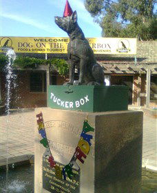 The Dog On The Tucker Box - Accommodation Port Macquarie 1