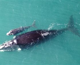 Fazshot Photography - Accommodation Port Macquarie 0