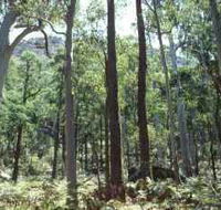 Cathedral Range State Park - Accommodation Port Macquarie