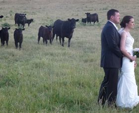 Athol Gardens - Accommodation Port Macquarie 2