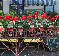 Van Loon's Nursery - Accommodation Port Macquarie