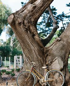 Kiltynane Wines - Accommodation Port Macquarie 8