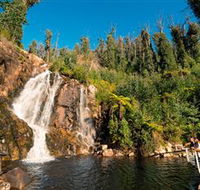 Steavenson Falls Marysville - Accommodation Port Macquarie