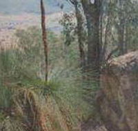 Mount Lawson State Park - Accommodation Port Macquarie