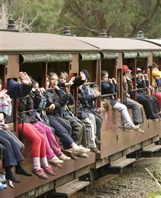 Puffing Billy Steam Railway - Accommodation Port Macquarie 1