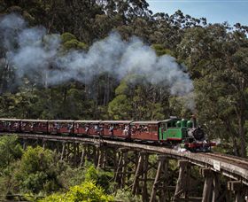 Puffing Billy Steam Railway - Accommodation Port Macquarie 0