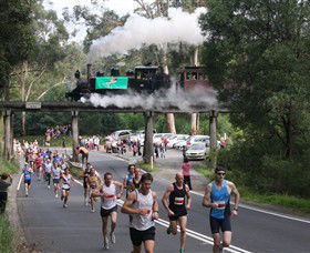 Puffing Billy Steam Railway - Accommodation Port Macquarie 7