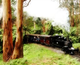 Puffing Billy Steam Railway - Accommodation Port Macquarie 5