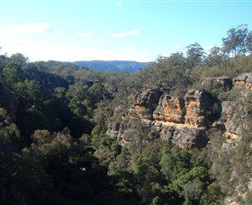 Ferntree Gully Reserve - Accommodation Port Macquarie 0