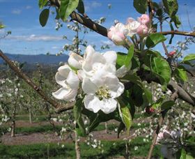 Mouat's Farm - Accommodation Port Macquarie 0