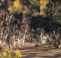 Albert Facey Heritage Trail - Accommodation Port Macquarie