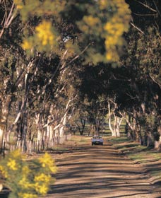 Albert Facey Heritage Trail - Accommodation Port Macquarie 0