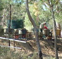 7 Oaks Sapphire Fossicking - Accommodation Port Macquarie