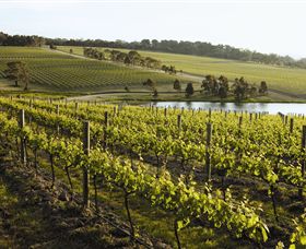 Yabby Lake Vineyard & Cellar Door - Accommodation Port Macquarie 7