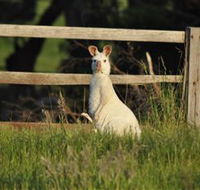 Panorama Garden Estate - Accommodation Port Macquarie