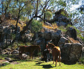  Accommodation Port Macquarie