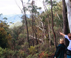 Hume And Hovell Walking Track - Accommodation Port Macquarie 5