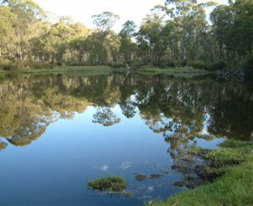 Hume And Hovell Walking Track - Accommodation Port Macquarie 6