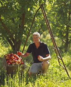 Mock Red Hill - Accommodation Port Macquarie 1
