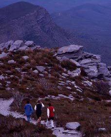 Bluff Knoll, Stirling Range National Park - Accommodation Port Macquarie 0