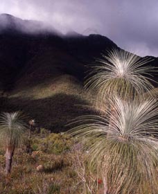 Bluff Knoll, Stirling Range National Park - Accommodation Port Macquarie 3