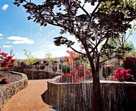 The Water Garden At Mayfield Garden - Accommodation Port Macquarie 2