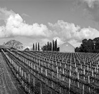 Willow Creek Vineyard - Accommodation Port Macquarie