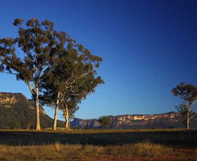 Capertee Valley Bird Trail - Accommodation Port Macquarie 0