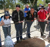 Fossil Rock - Accommodation Port Macquarie
