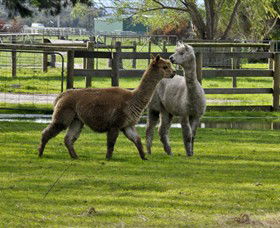 Warrook Farm - Accommodation Port Macquarie 6