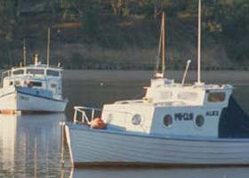 Western Port - Accommodation Port Macquarie 0