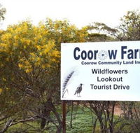 Coorow Farm Wildflower Trail - Accommodation Port Macquarie