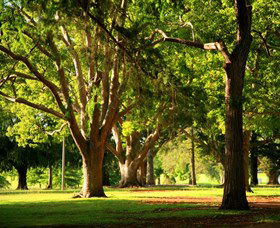 Queens Park, Toowoomba - Accommodation Port Macquarie 1