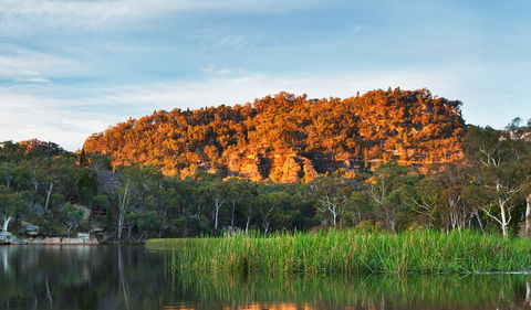 Wollemi National Park - Accommodation Port Macquarie 0