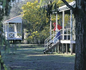 Dryandra Woodland - Accommodation Port Macquarie 0