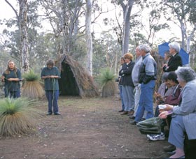 Dryandra Woodland - Accommodation Port Macquarie 2